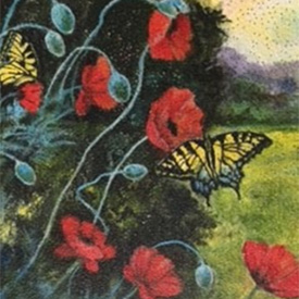 Painting of black swallowtail butterflies on red poppies