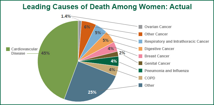 Cardiovascular Disease Chart