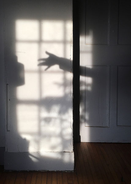 Hand Shadow Photograph by Linda Bryan