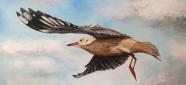 Acrylic Painting of flying gull by Linda Mirabile