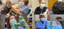 Photo collage of CVMC staff and community healthcare providers receiving vaccine